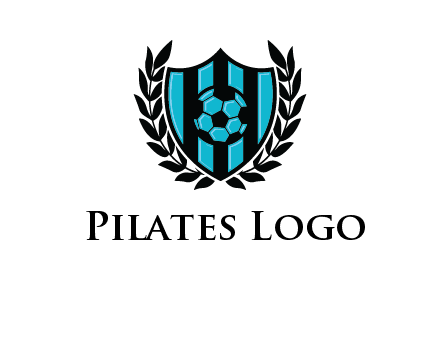 shield in football team logo