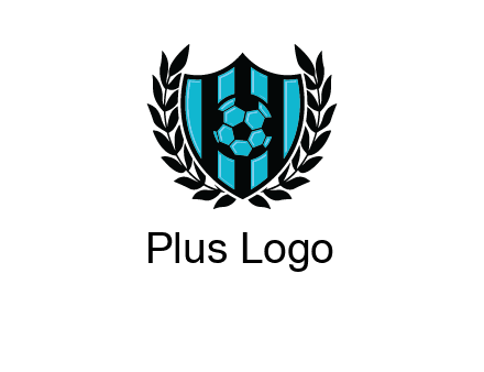 shield in football team logo