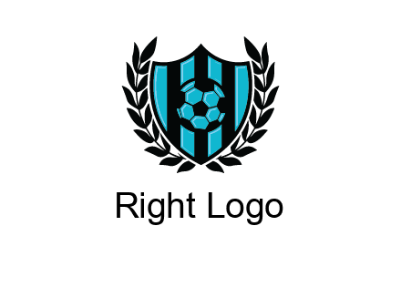 shield in football team logo