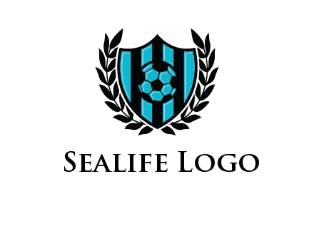 shield in football team logo