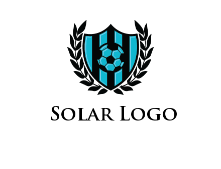 shield in football team logo