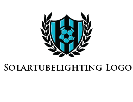 shield in football team logo