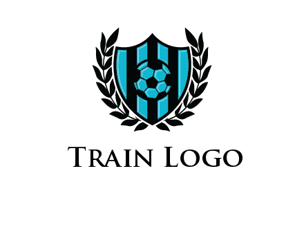 shield in football team logo