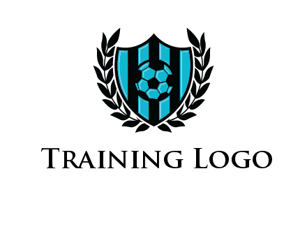 shield in football team logo