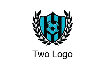 shield in football team logo