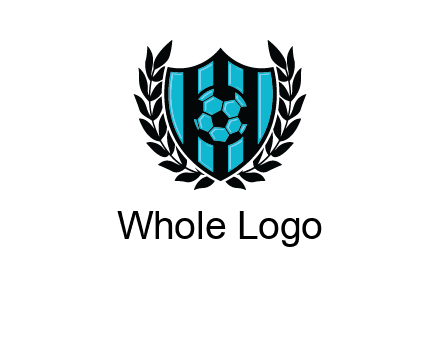 shield in football team logo
