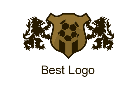 football team logo