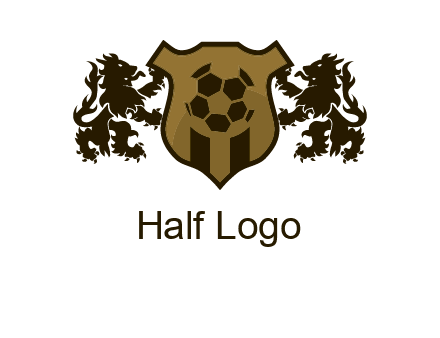 football team logo