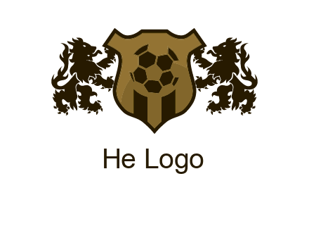 football team logo