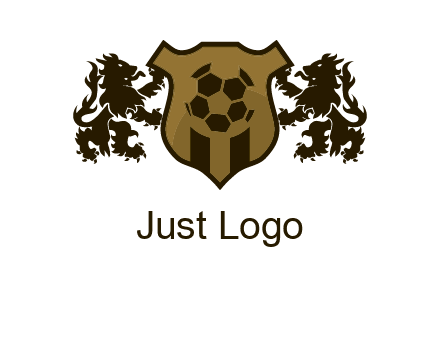 football team logo