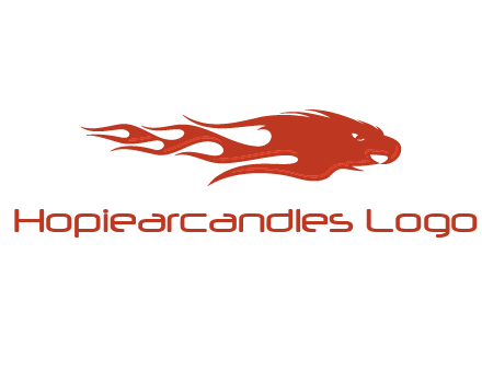 Flame in eagle head logo