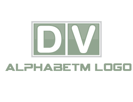 Letters DV are in two square box logo