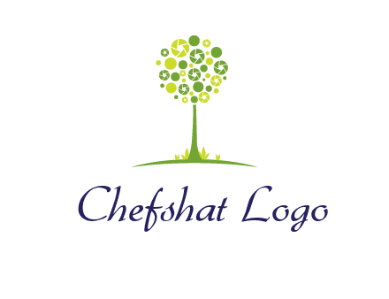 shutters as tree photography logo