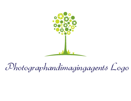 shutters as tree photography logo