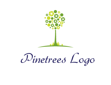 shutters as tree photography logo
