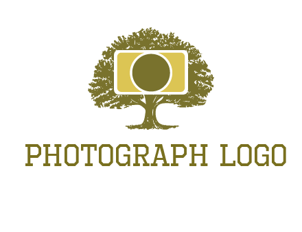 rectangle camera and tree photography logo