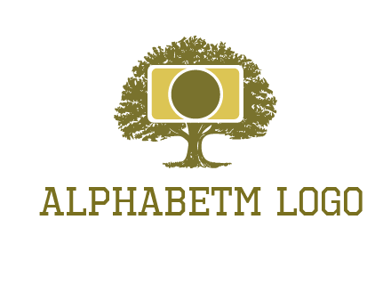 rectangle camera and tree photography logo