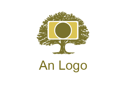 rectangle camera and tree photography logo