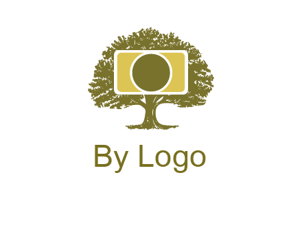 rectangle camera and tree photography logo