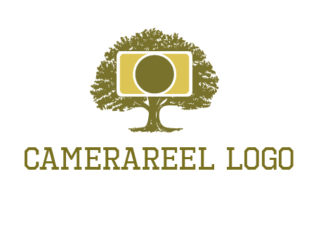 rectangle camera and tree photography logo