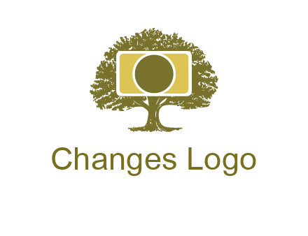 rectangle camera and tree photography logo