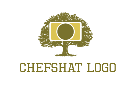 rectangle camera and tree photography logo