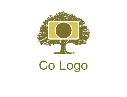 rectangle camera and tree photography logo