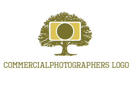rectangle camera and tree photography logo