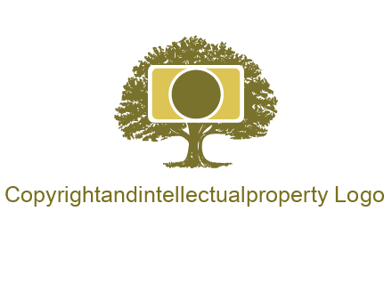 rectangle camera and tree photography logo
