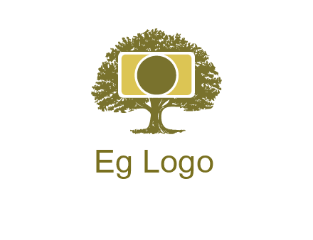 rectangle camera and tree photography logo
