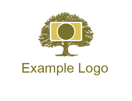 rectangle camera and tree photography logo