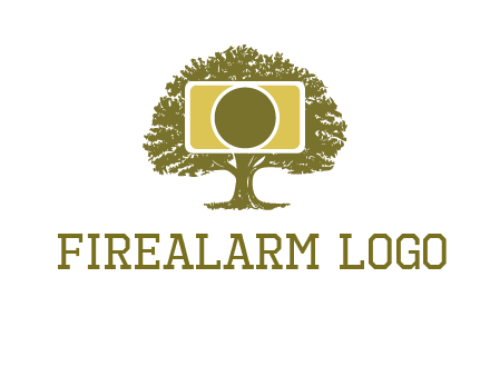 rectangle camera and tree photography logo