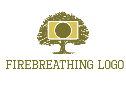 rectangle camera and tree photography logo