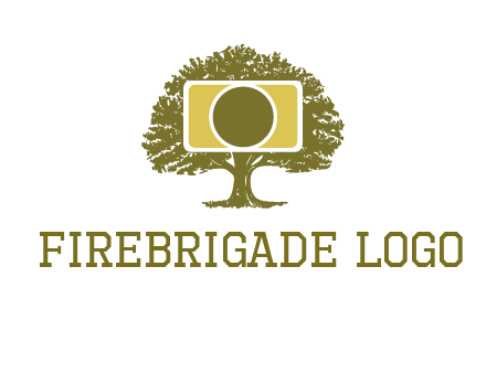 rectangle camera and tree photography logo