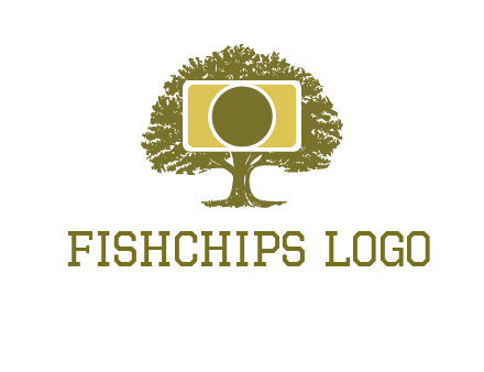 rectangle camera and tree photography logo