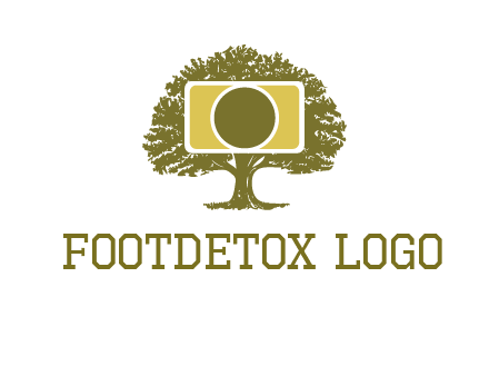 rectangle camera and tree photography logo