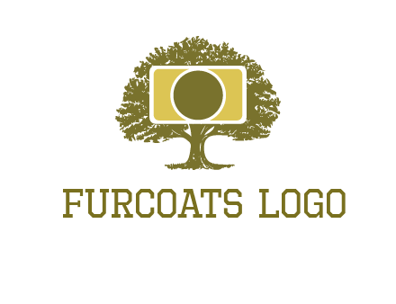 rectangle camera and tree photography logo