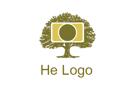 rectangle camera and tree photography logo