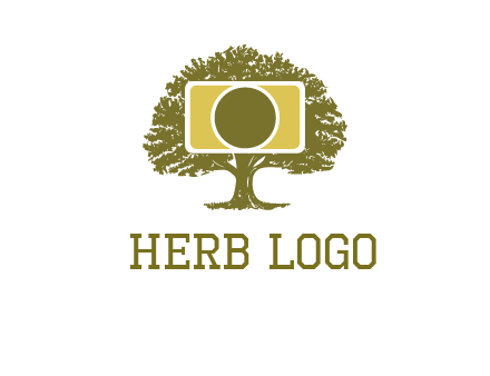rectangle camera and tree photography logo