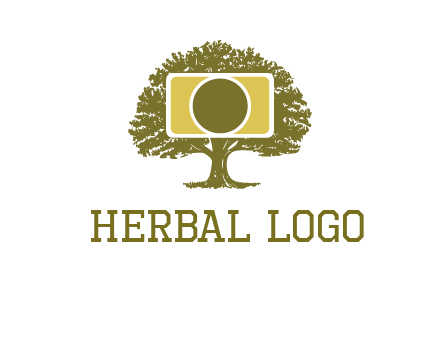 rectangle camera and tree photography logo