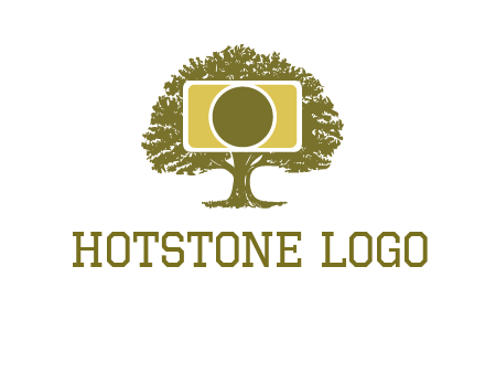 rectangle camera and tree photography logo