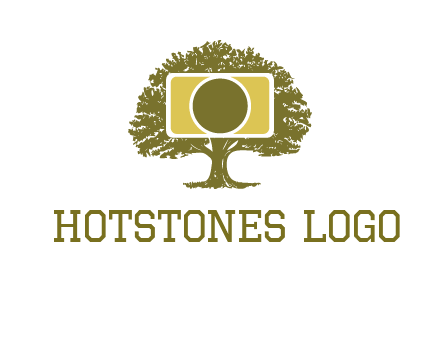 rectangle camera and tree photography logo