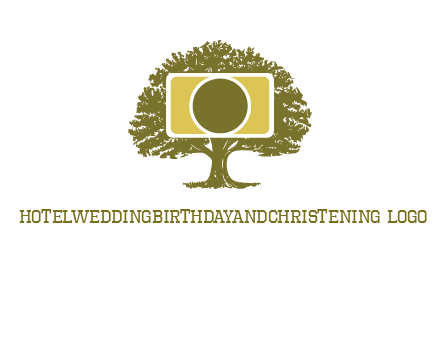 rectangle camera and tree photography logo