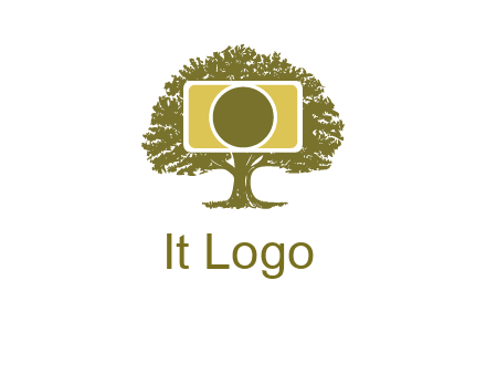 rectangle camera and tree photography logo