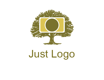 rectangle camera and tree photography logo