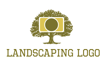 rectangle camera and tree photography logo