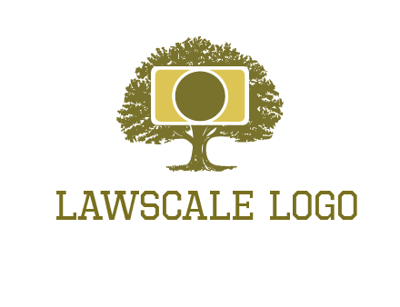 rectangle camera and tree photography logo