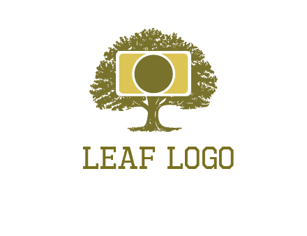 rectangle camera and tree photography logo