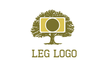 rectangle camera and tree photography logo