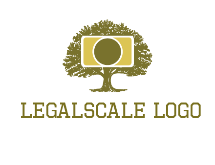 rectangle camera and tree photography logo